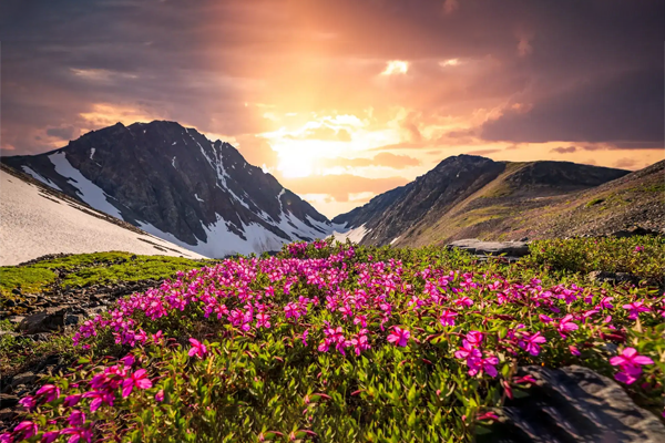 trekking-in-valley-of-flowers-or-kedarkantha